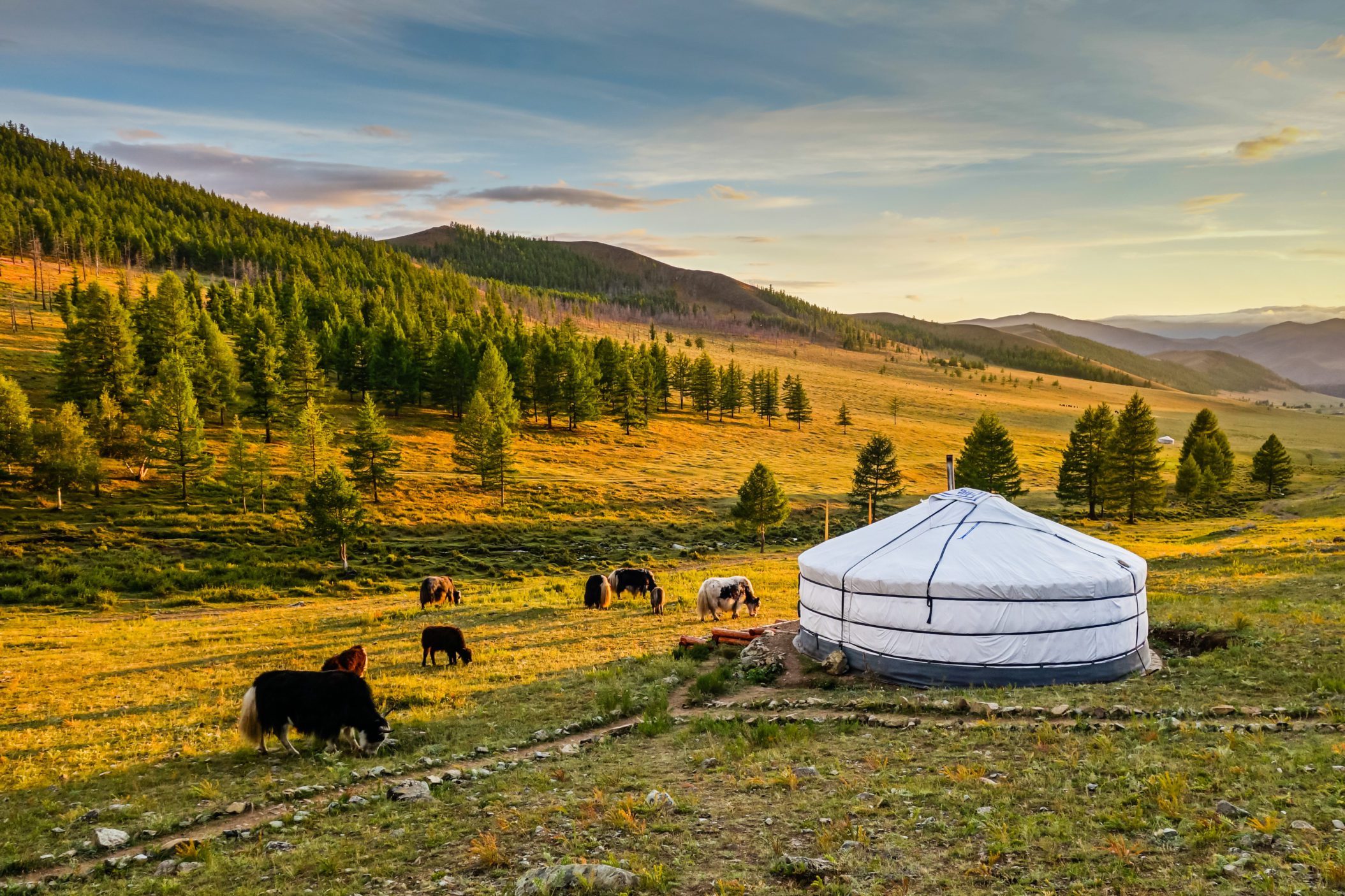 Mongolia | Country Coverage