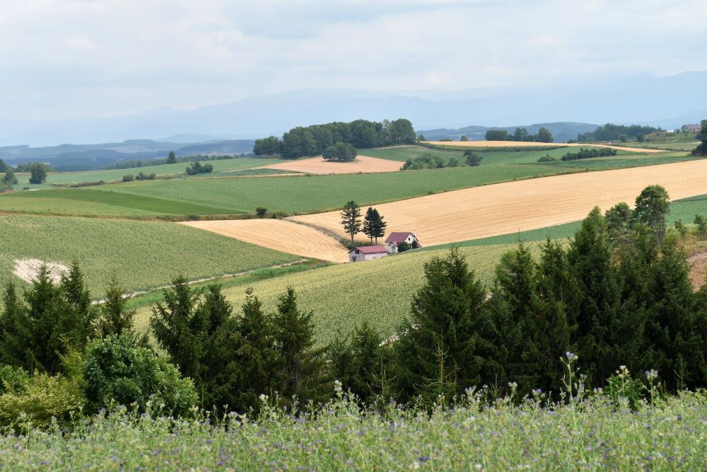 japan agriculture hokkaido