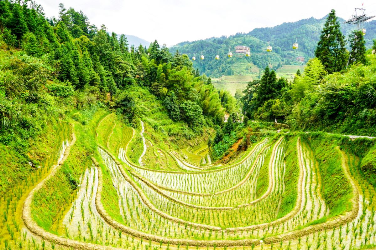 man chung LbKAlDpuXfc unsplash | Cultivating Prosperity: How the China Agriculture Industry Shapes the Future of Global Farming