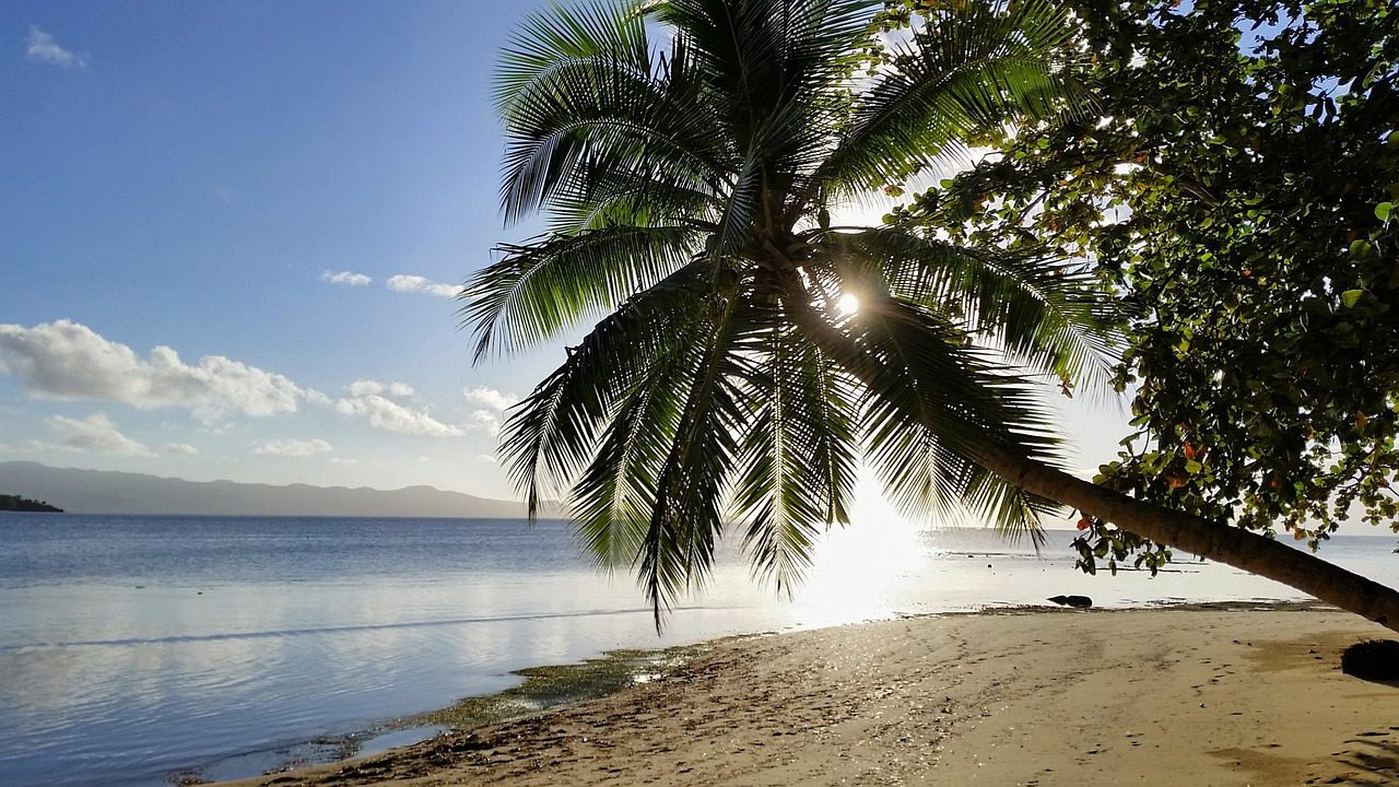 energy sector in fiji