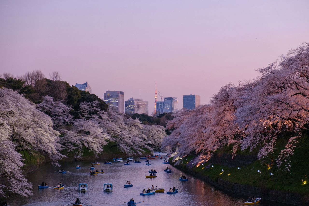 japan business manager visa