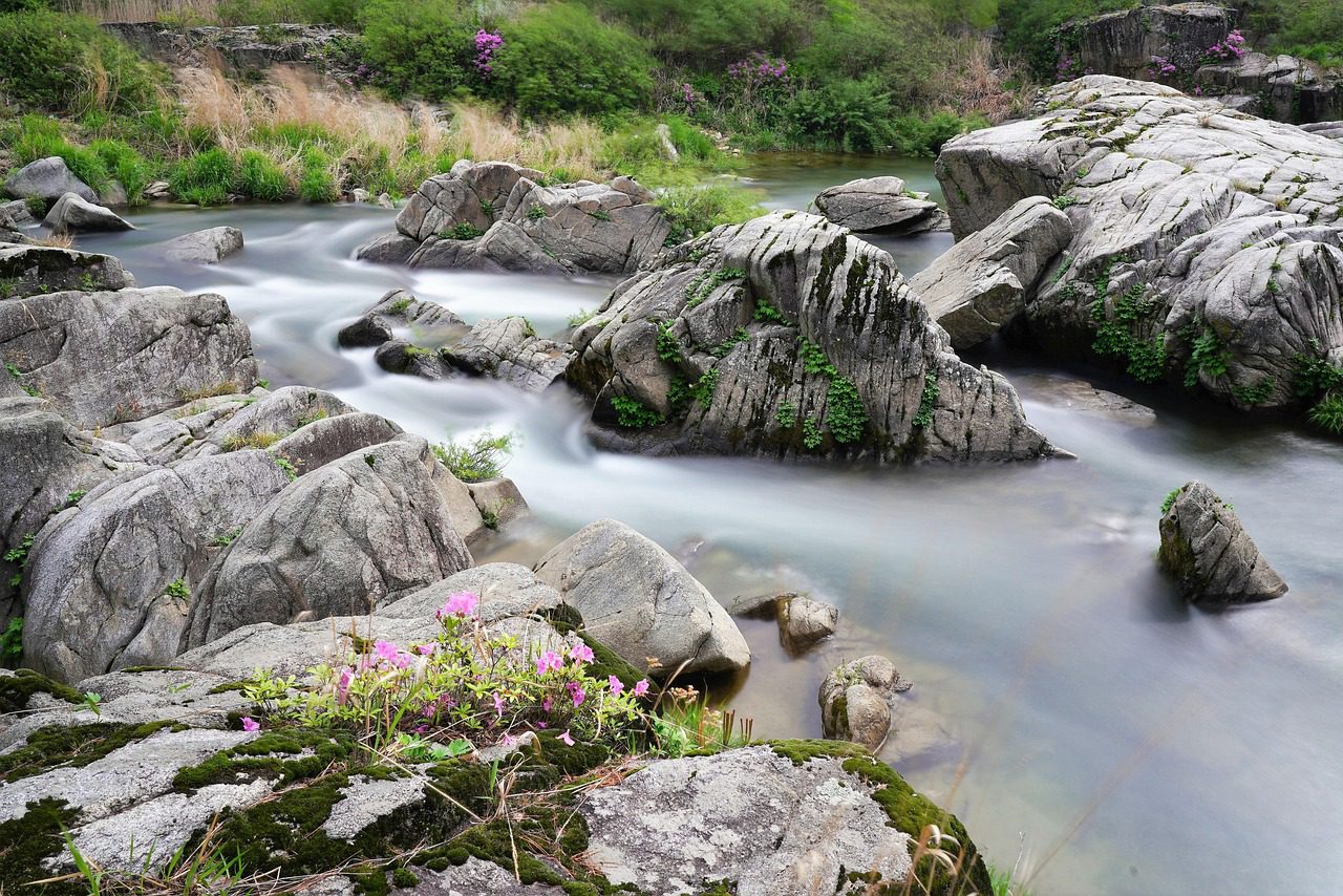 common mistakes when hiring in south korea